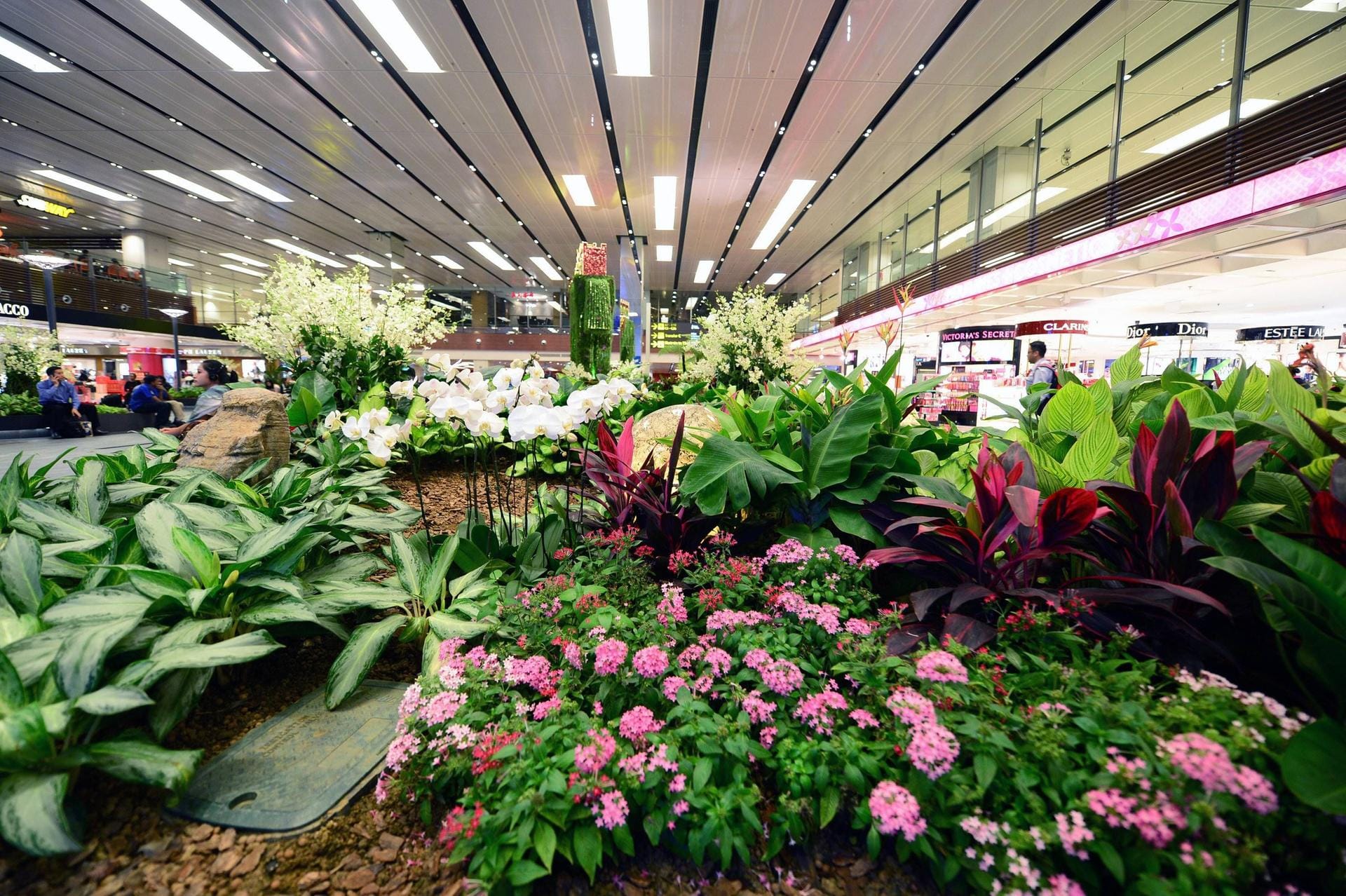 Blumen- und Pflanzenpracht im Changi International Airport in Singapore.