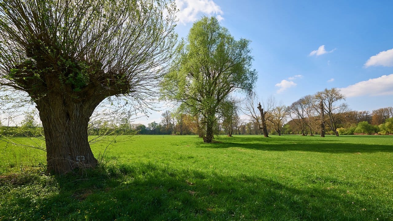 Die Bonner Siegaue bei Troisdorf. Die Bonner Siegaue bei Troisdorf.