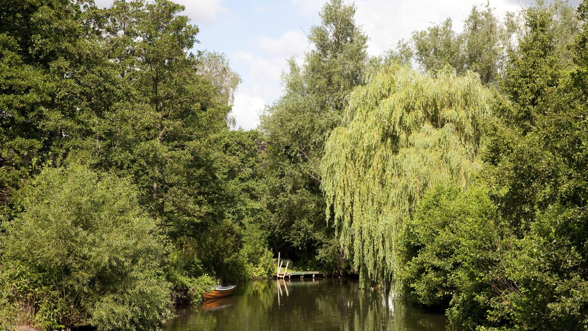 Idylle am Ufer des Kellersees im Naturpark Holsteinische Schweiz