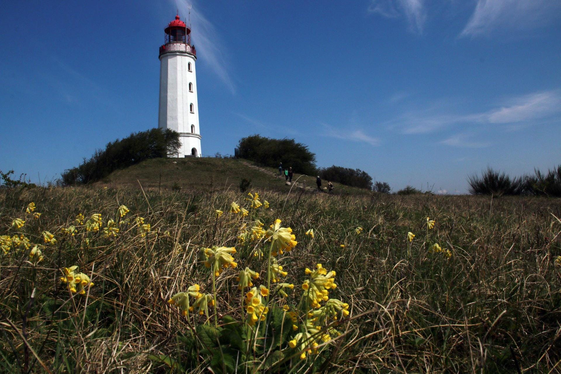 Auf der autofreien Insel Hiddensee ist der Leuchtturm ein toller Aussichtspunkt.