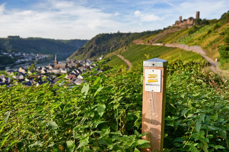 Zuverlässige Markierung und gute Infrastruktur: Der 365 Kilometer lange Moselsteig führt durch Weinberge, Wälder und kleine Flussdörfer.