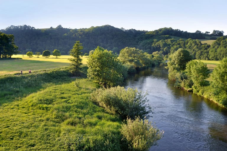 Schmale Pfade führen auf fast 200 Kilometern von Siegburg nach Mudersbach entlang der Sieg.