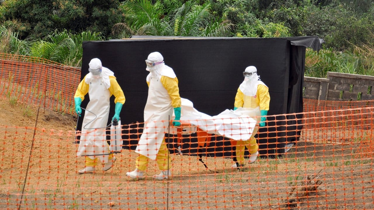 Ebola in Guinea: Der Astrophysiker Stephen Hawking hält auch zunehmende Epidemien für einen guten Grund, die Erde in 100 Jahren zu verlassen. Ebola in Guinea: Der Astrophysiker Stephen Hawking hält auch zunehmende Epidemien für einen guten Grund, die Erde in 100 Jahren zu verlassen.