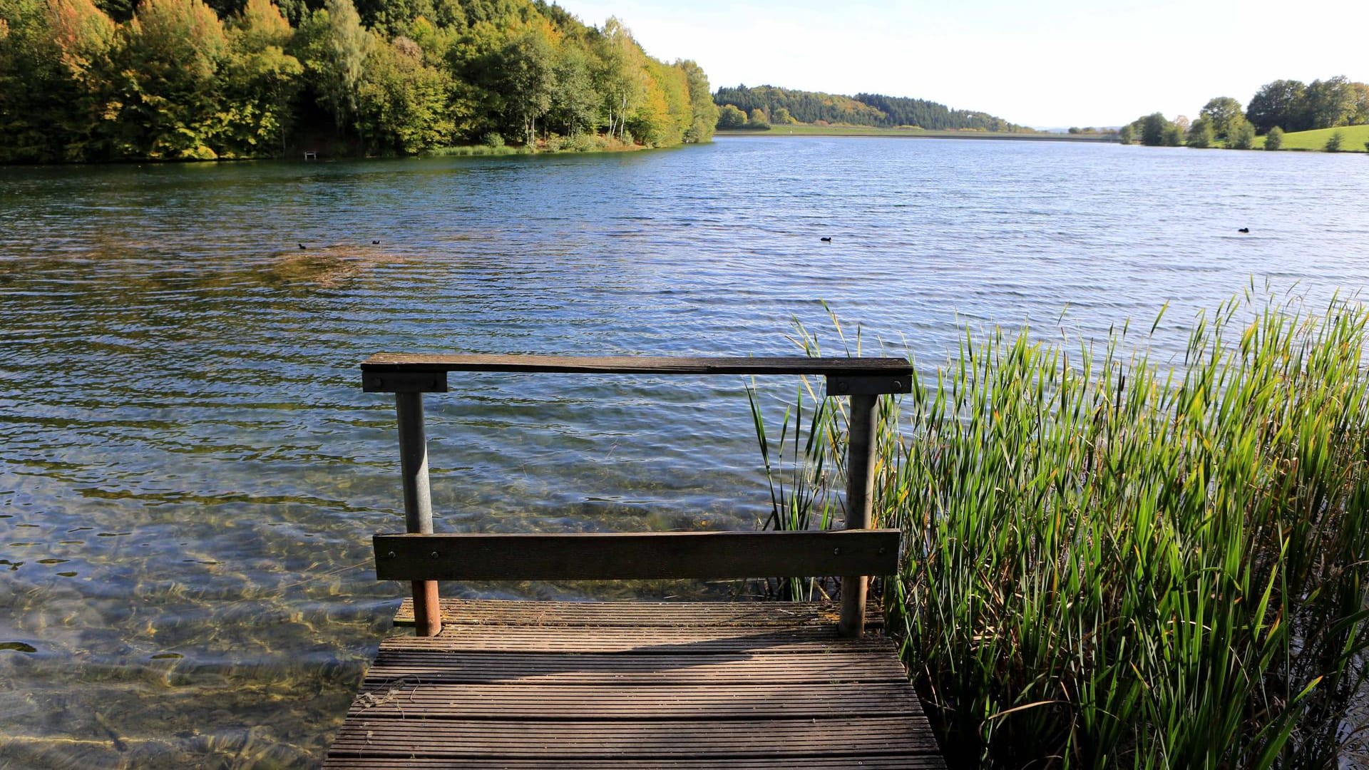 Impressionen vom Freilinger See in der Eifel