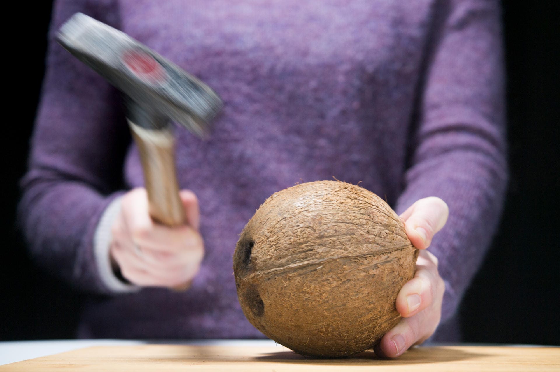 Kokosnuss: Schritt 3 – Mit einem Hammer rundherum in die Mitte der Schale schlagen.