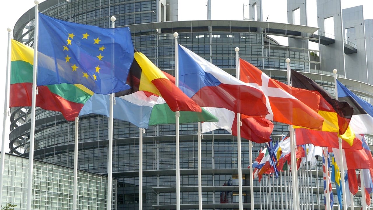 Die Flaggen der Mitgliedsländer der Europäischen Union wehen vor dem Europa-Parlament in Straßburg im Wind.