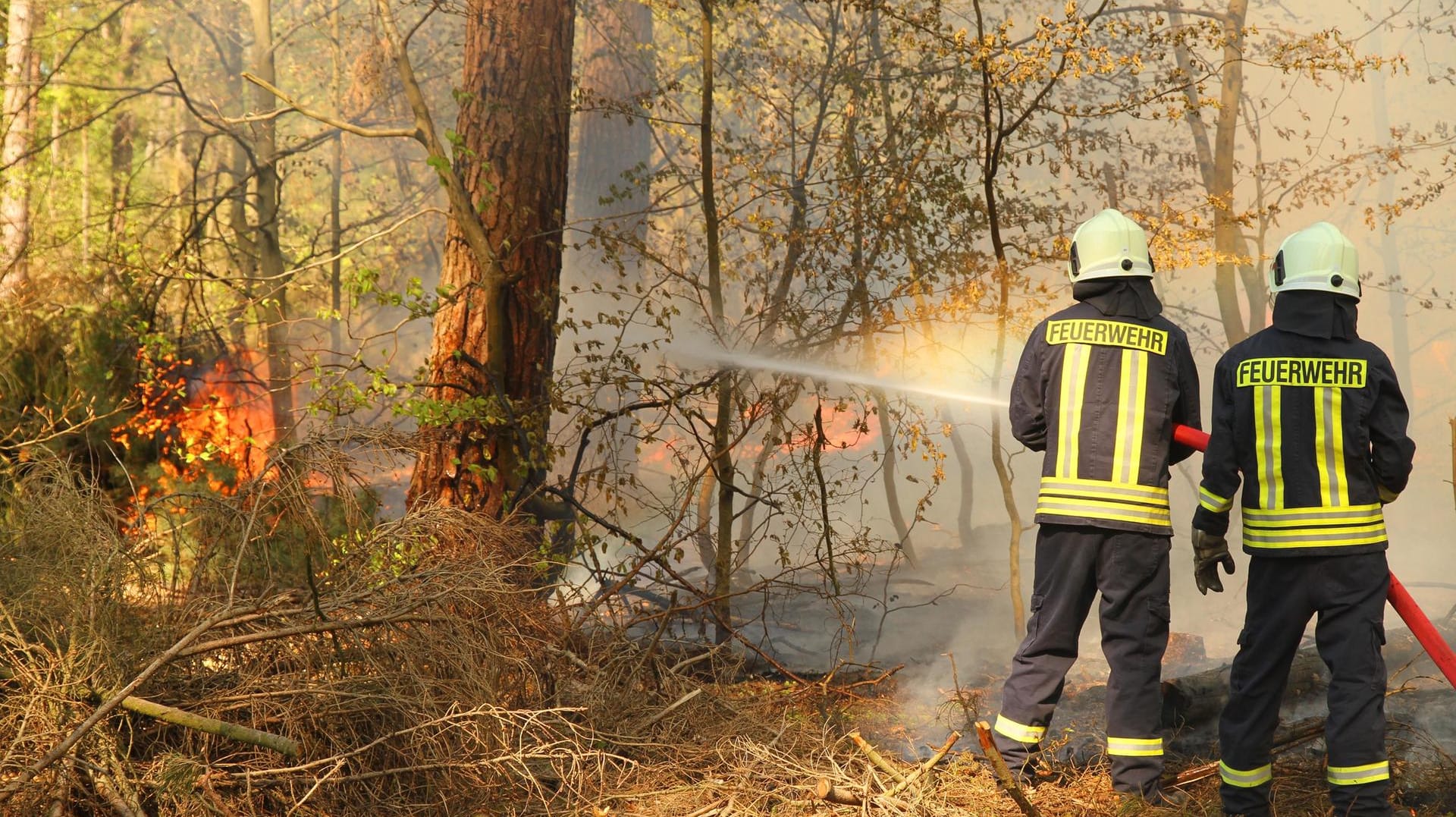 Für Bayern wurde die höchste Waldbrandgefahrstufe ausgerufen.