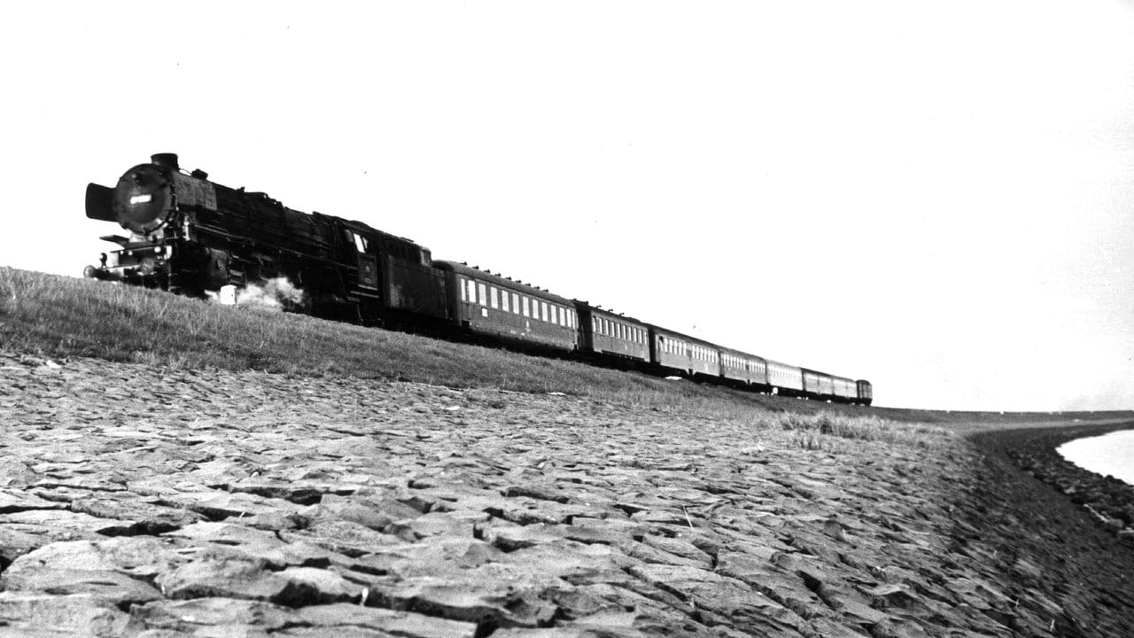 Eine Dampflokomotive fährt über den Hindenburgdamm.