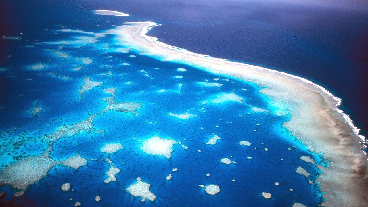 Hier zum Beispiel ist die Erderwärmung: Die hohen Wassertemperaturen lassen die Korallen am Great Barrier Reef sterben.