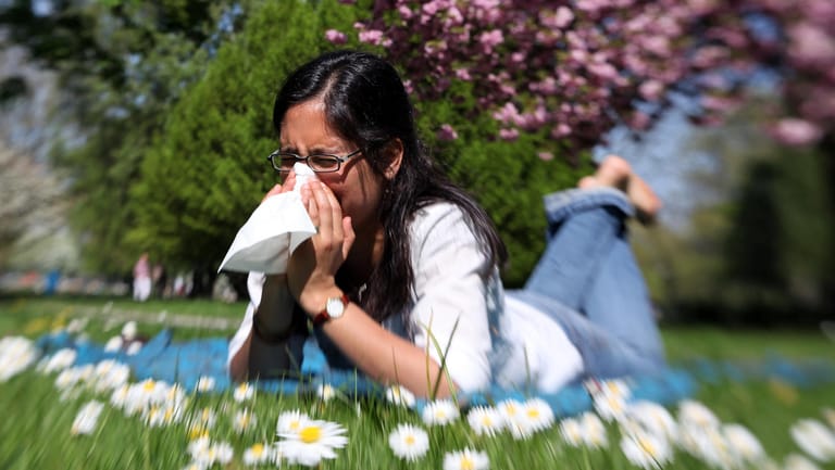 Der Klimawandel hat längst spürbare Folgen – zum Beispiel für Allergiker.