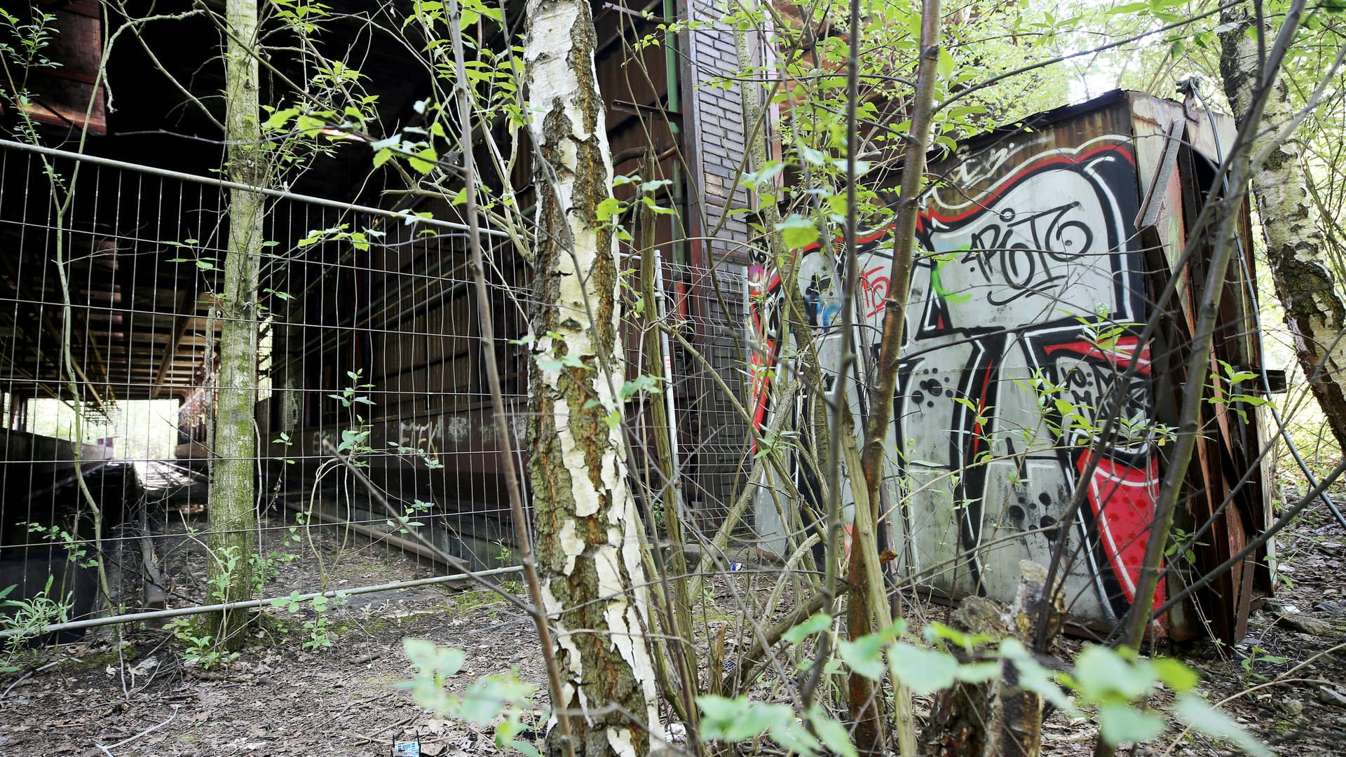 Flora und Fauna an der Zeche Zollverein