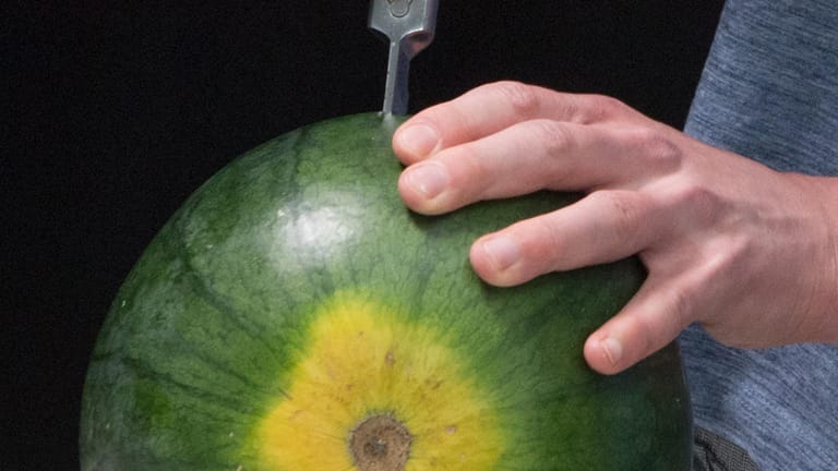Wassermelone aufs Brett legen und mit einer Hand festhalten. Mit der anderen ein langes, spitzes Messer senkrecht in die Frucht stechen.