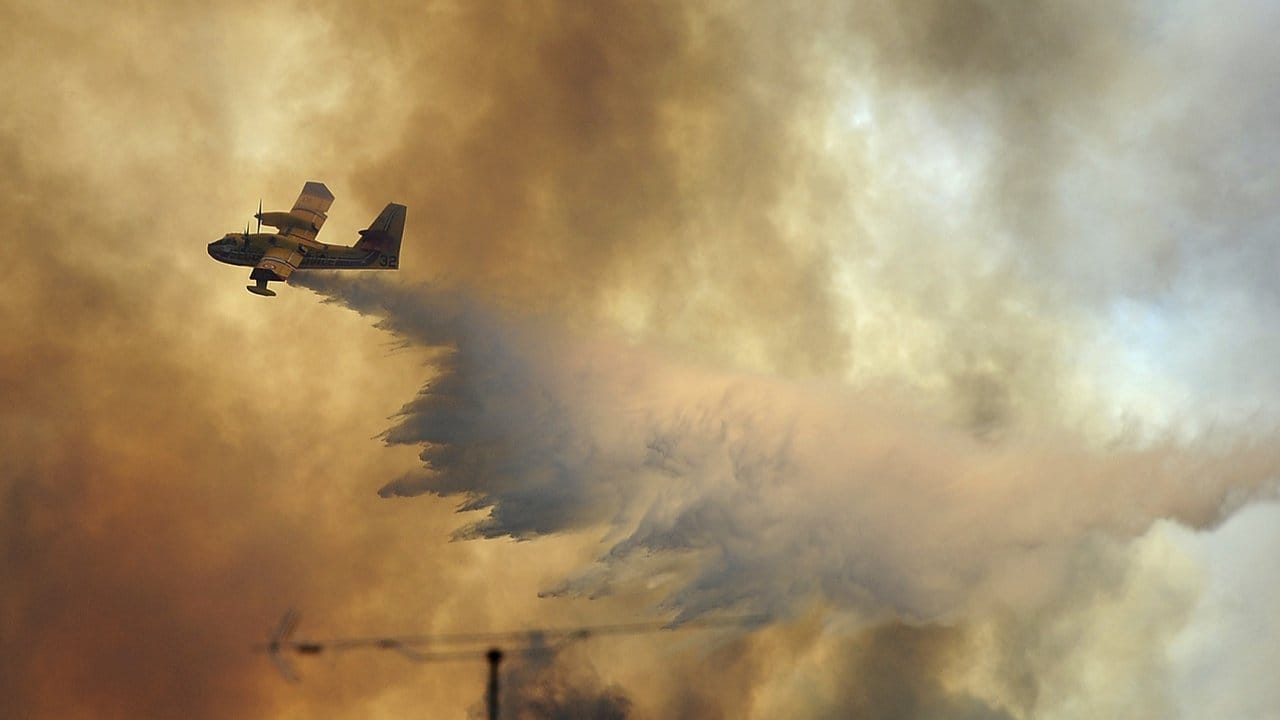 Löschflugzeuge sind über dem Waldbrandgebiet in Zentralportugal pausenlos im Einsatz.