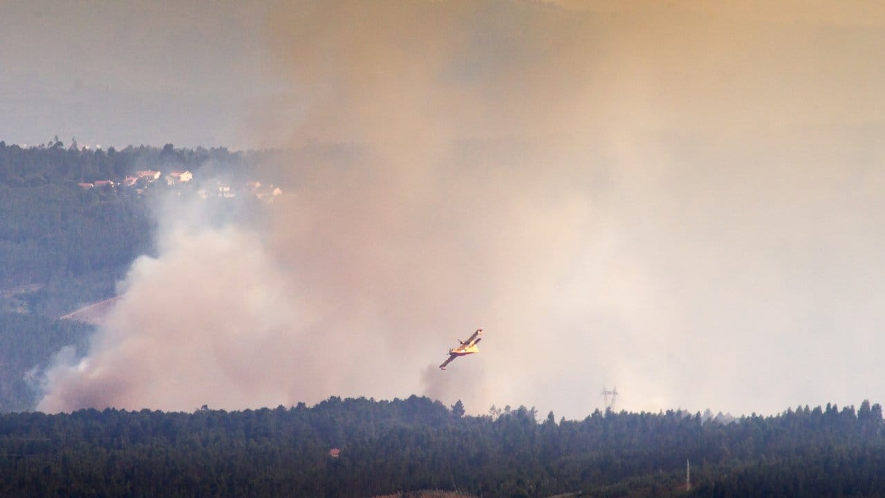 Ein Löschflugzeug kreist über dem Waldbrandgebiet 160 Kilometer nordöstlich von Lissabon.