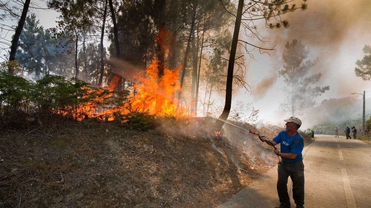 Nehmen, was man kriegen kann: Mit einem Gartenschlauch kämpft ein Mann gegen den verheerenden Waldbrand.
