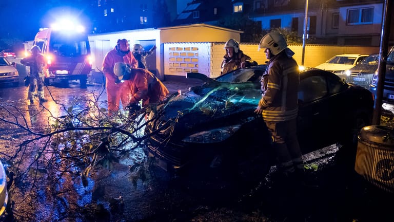 In Hannover zersägen Feuerwehrleute einen auf ein Auto gestürzten Ast.