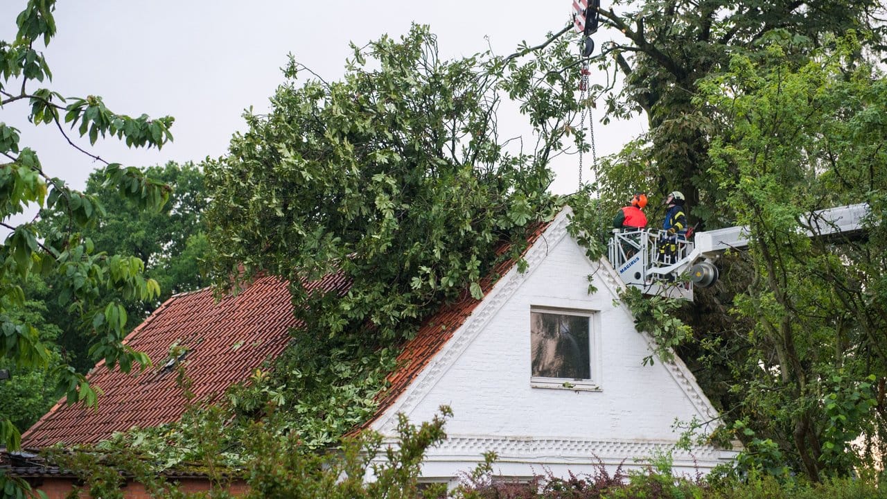 Feuerwehrleute heben in Havighorst (Schleswig-Holstein) mit einem Kran einen umgestürzten Baum von einem Haus. Feuerwehrleute heben in Havighorst (Schleswig-Holstein) mit einem Kran einen umgestürzten Baum von einem Haus.