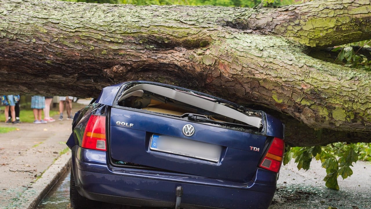 Eine umgestürzte Kastanie liegt in Hamburg-Lohbrügge nach einem starken Unwetter über der Straße und begräbt ein parkendes Auto unter sich. Eine umgestürzte Kastanie liegt in Hamburg-Lohbrügge nach einem starken Unwetter über der Straße und begräbt ein parkendes Auto unter sich.