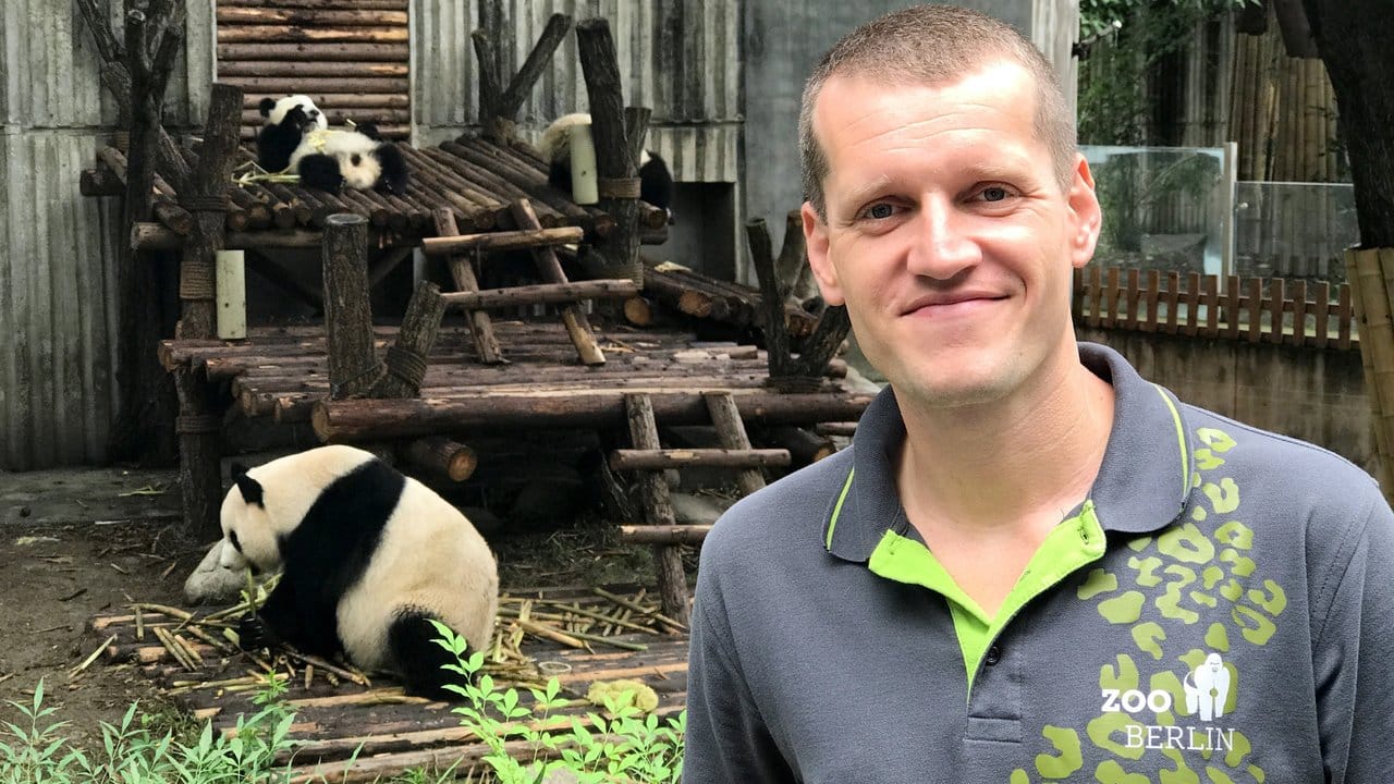 Der Berliner Tierpfleger Christian Toll in der Zuchtstation in Chengdu vor einem Pandagehege.