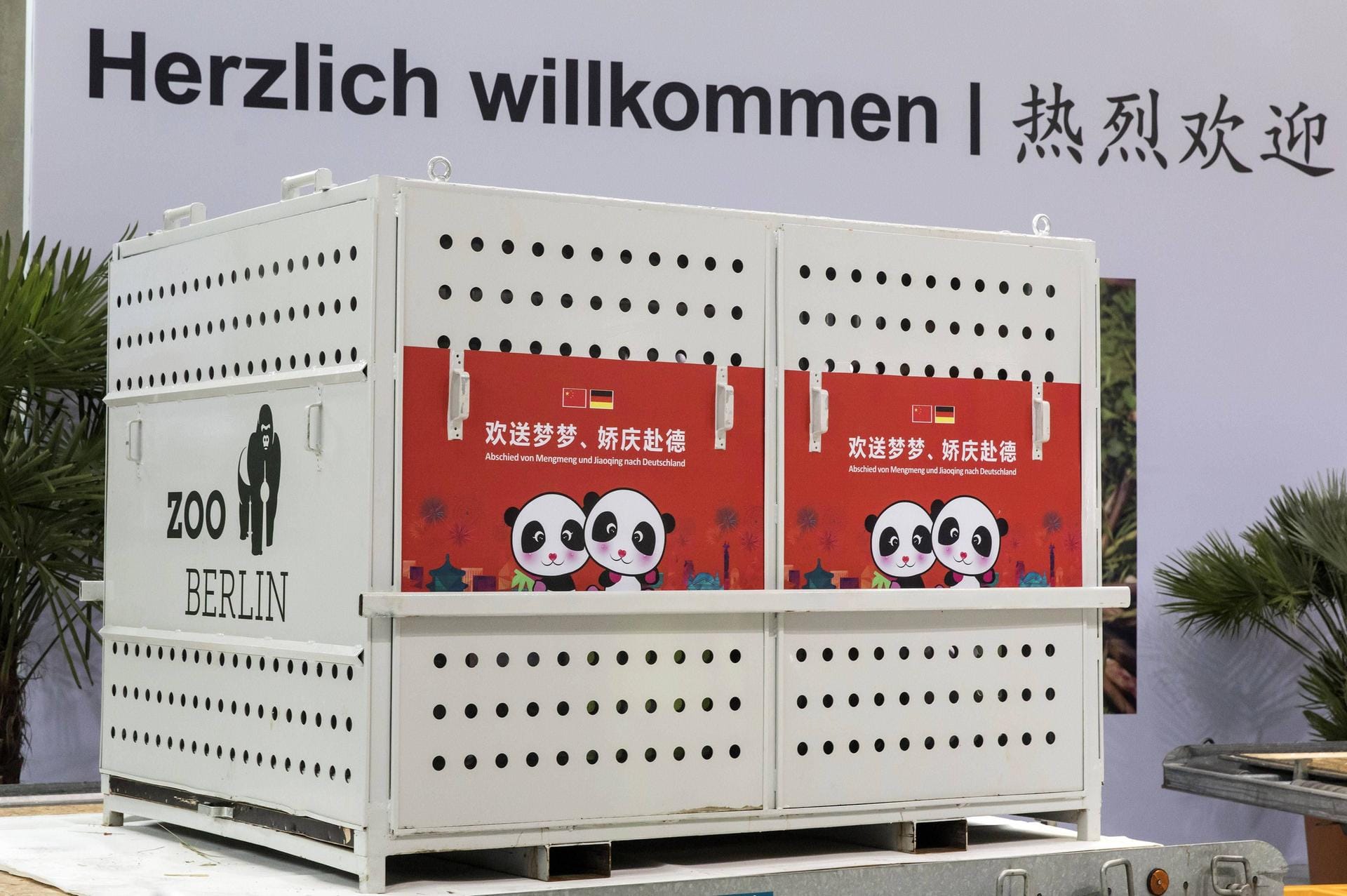 Sie sind da: Ankunft der Pandabären Meng Meng und Jiao Qing am Flughafen Berlin Schönefeld am 24.06.2017.