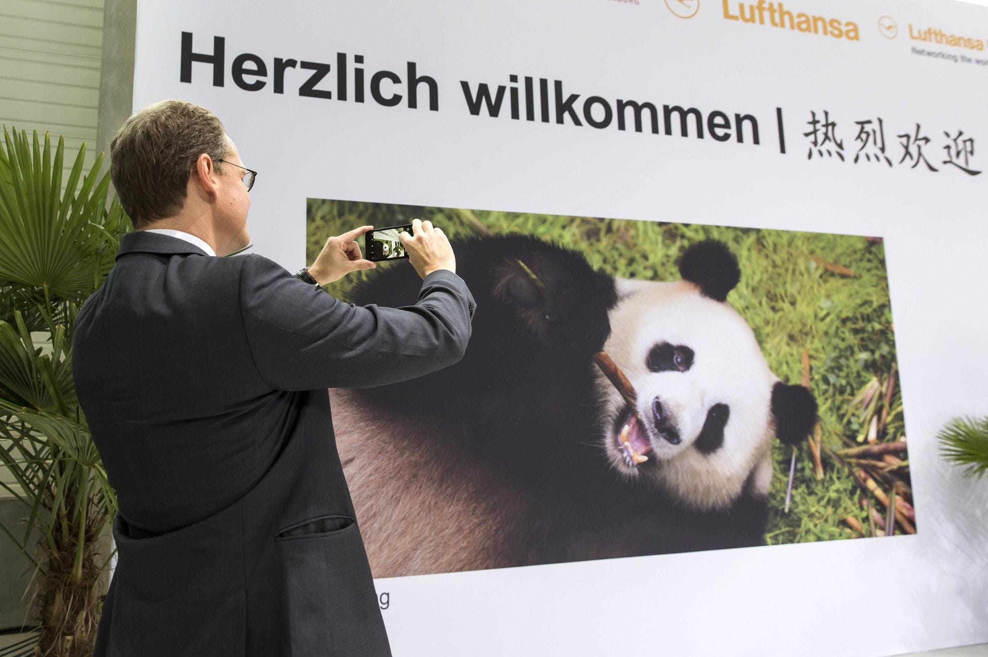 Berlins Bürgermeister Michael Müller geht schon mal auf Position, um das beste Foto der neue Pandabären zu ergattern.