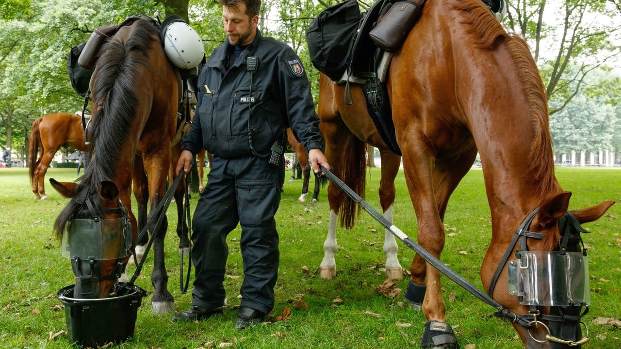 Ein Drink nach Feierabend: Der Polizist Alexander Schittenhelm steht mit zwei Polizeipferden der Polizei auf der Moorweide in Hamburg. Ein Drink nach Feierabend: Der Polizist Alexander Schittenhelm steht mit zwei Polizeipferden der Polizei auf der Moorweide in Hamburg.