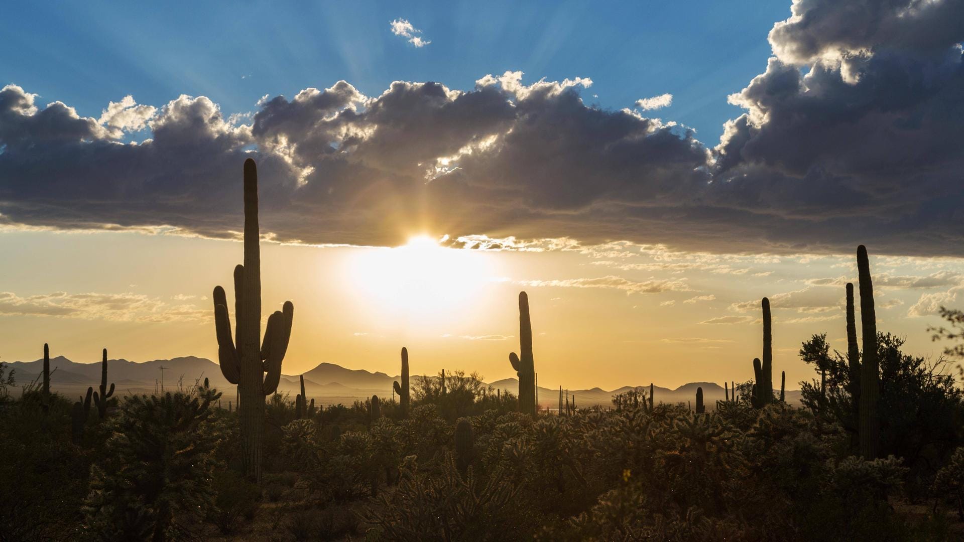 Im US-Bundesstaat wurden am Freitag über 47 Grad Celsius gemessen. Ein über 100 Jahre alter Rekord wurde damit gebrochen. Im US-Bundesstaat wurden am Freitag über 47 Grad Celsius gemessen. Ein über 100 Jahre alter Rekord wurde damit gebrochen.