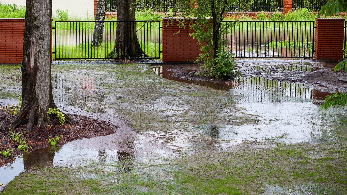 Überschwemmter Garten: Staunässe kann dem Rasen nachhaltig schaden.