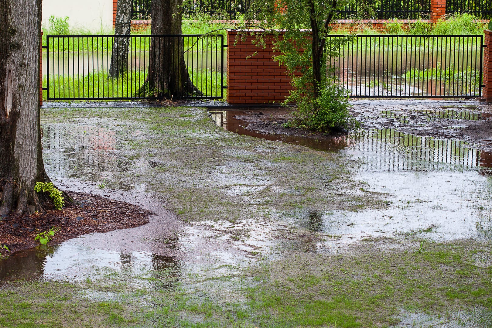 Überschwemmter Garten: Staunässe kann dem Rasen nachhaltig schaden.