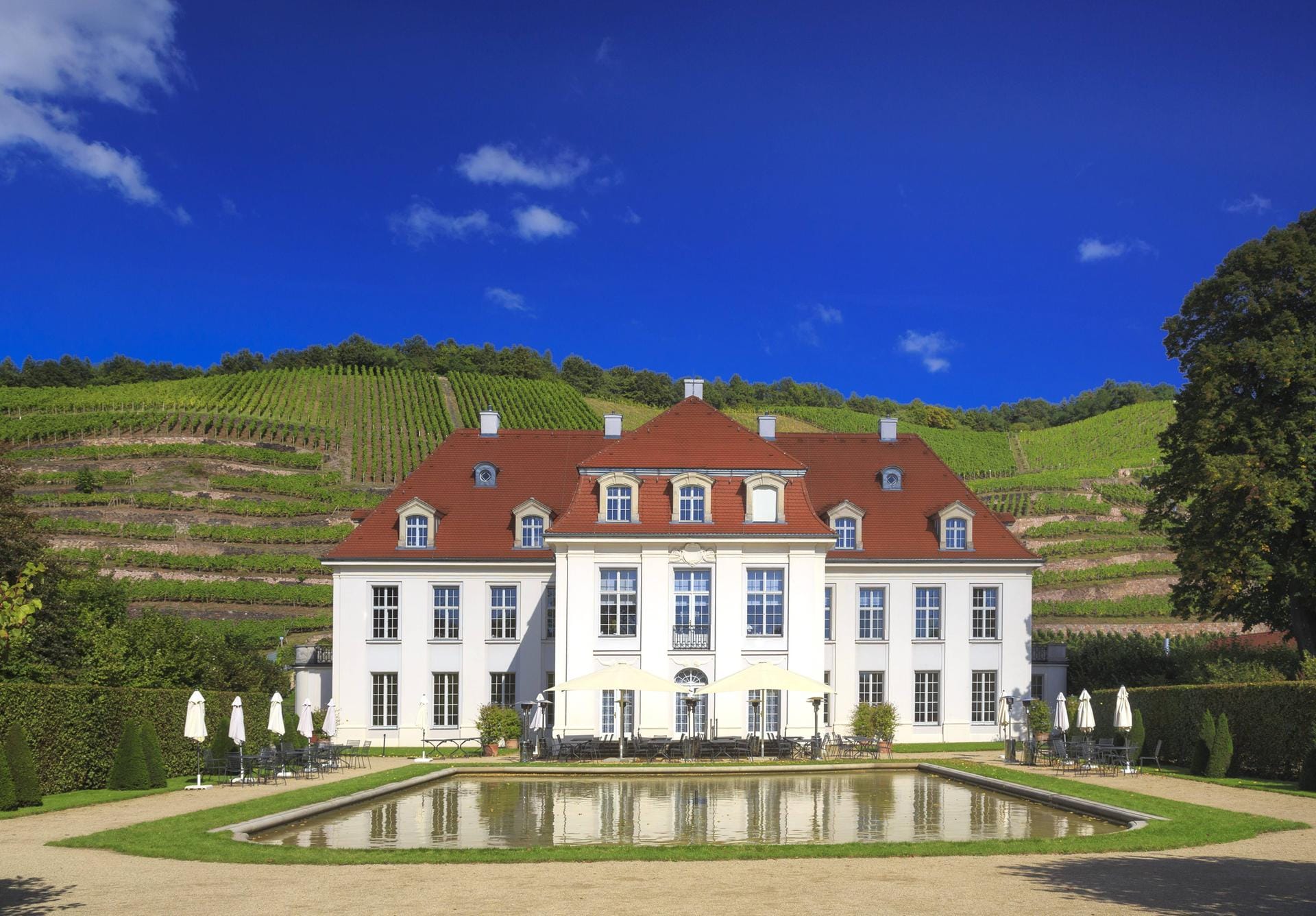 Das Schloss Wackerbarth in Radebeul ist eines der schönsten Weinschloesschen an der Sächsischen Weinstraße zwischen Dresden und Meissen. Seit mehr als 800 Jahre pfegt Sachsen im Elbtal die Weinbautradition.