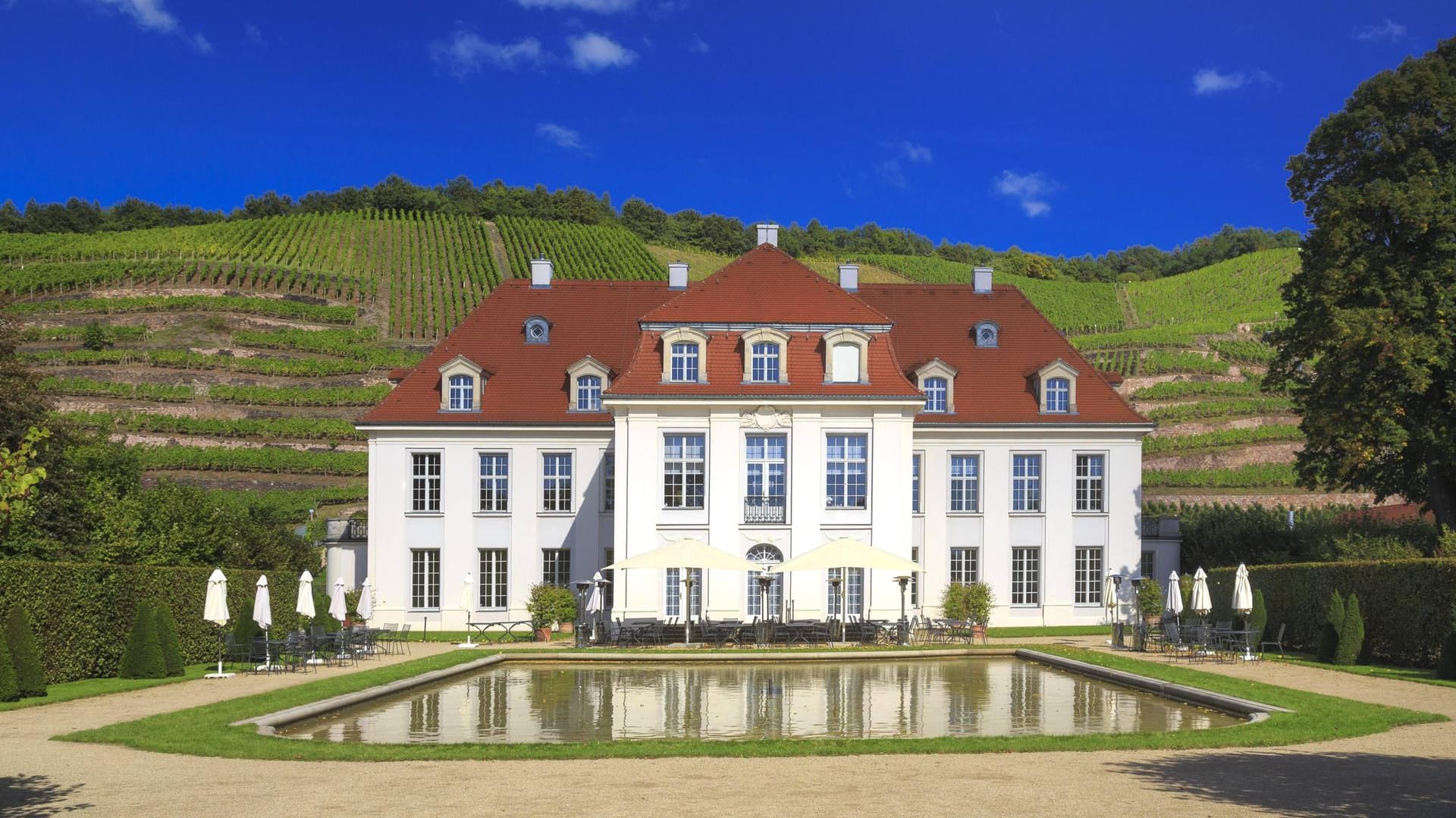 Das Schloss Wackerbarth in Radebeul ist eines der schönsten Weinschloesschen an der Sächsischen Weinstraße zwischen Dresden und Meissen. Seit mehr als 800 Jahre pfegt Sachsen im Elbtal die Weinbautradition.