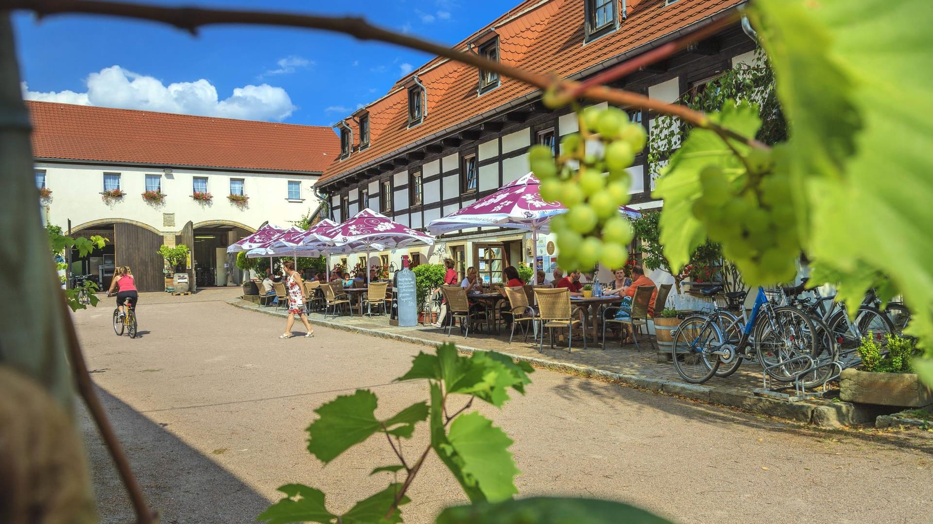 Winzerhof im Meißner Elbland – Die meisten der alten und neuen Winzer bauen ihre Weine auch selbst nach traditionellen oder modernen Verfahren in ihren Kellern aus.