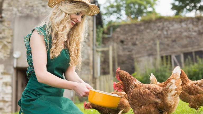 Eier vom eigenen Bauernhof: Hühner im Garten halten