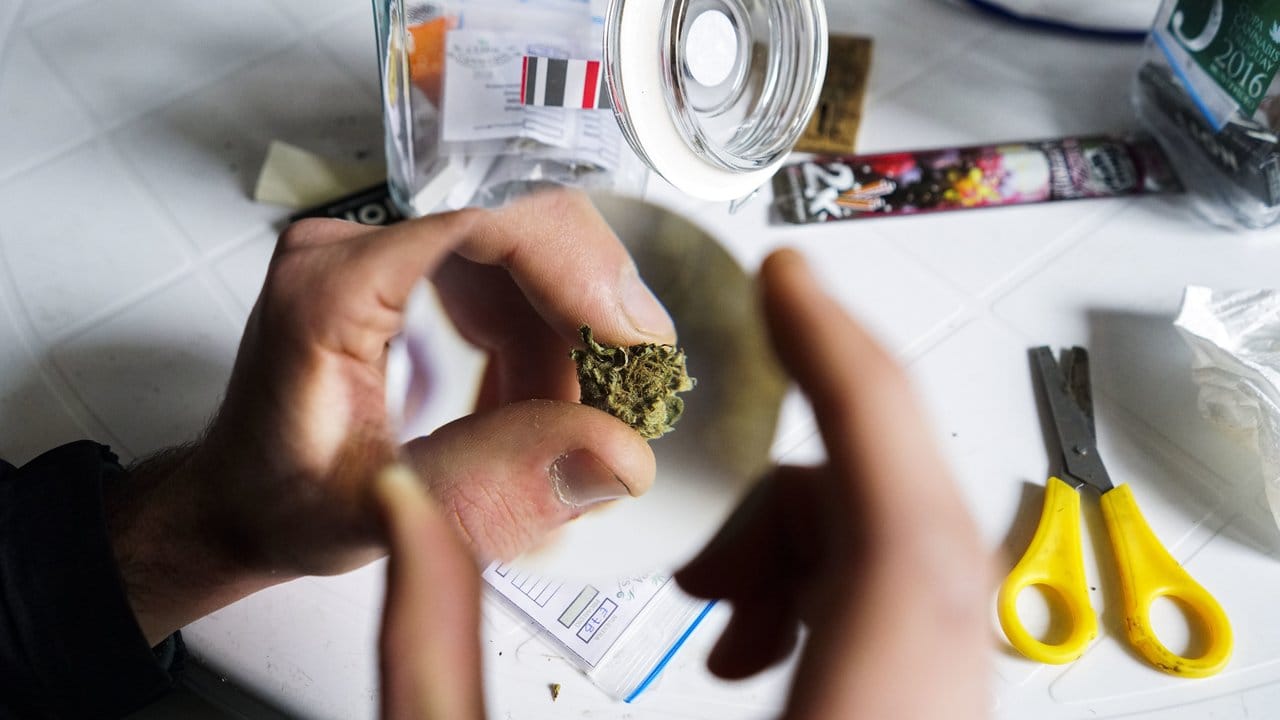 In Uruguay können zwei Sorten Marihuana in Mengen von maximal zehn Gramm die Woche gekauft werden.
