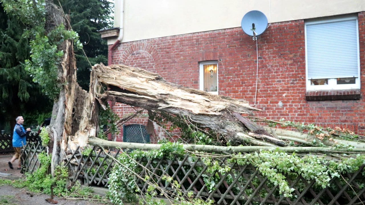 Ein Baum ist in Dortmund (Nordrhein-Westfalen) durch ein heftiges Unwetter auf eine Frau gestürzt.