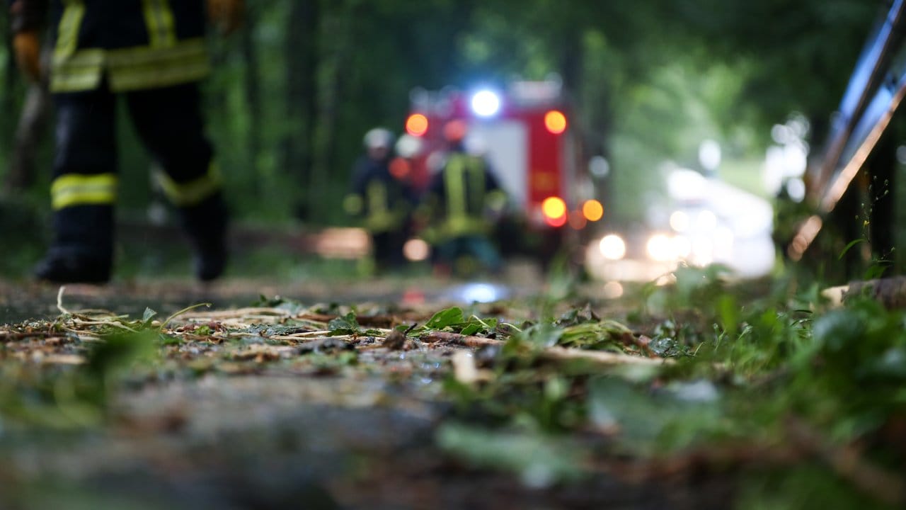 Feuerwehrleute räumen in Bielefeld eine Straße frei, auf die Teile eines Baumes gefallen waren.