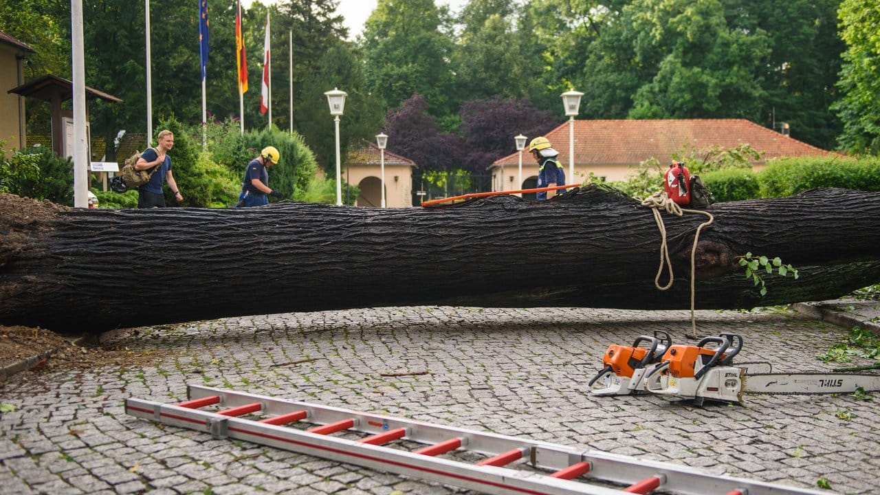 Ausnahmezustand in Berlin: Ein umgefallener Baum versperrt im Bezirk Pankow die Einfahrt zum Schlosspark.