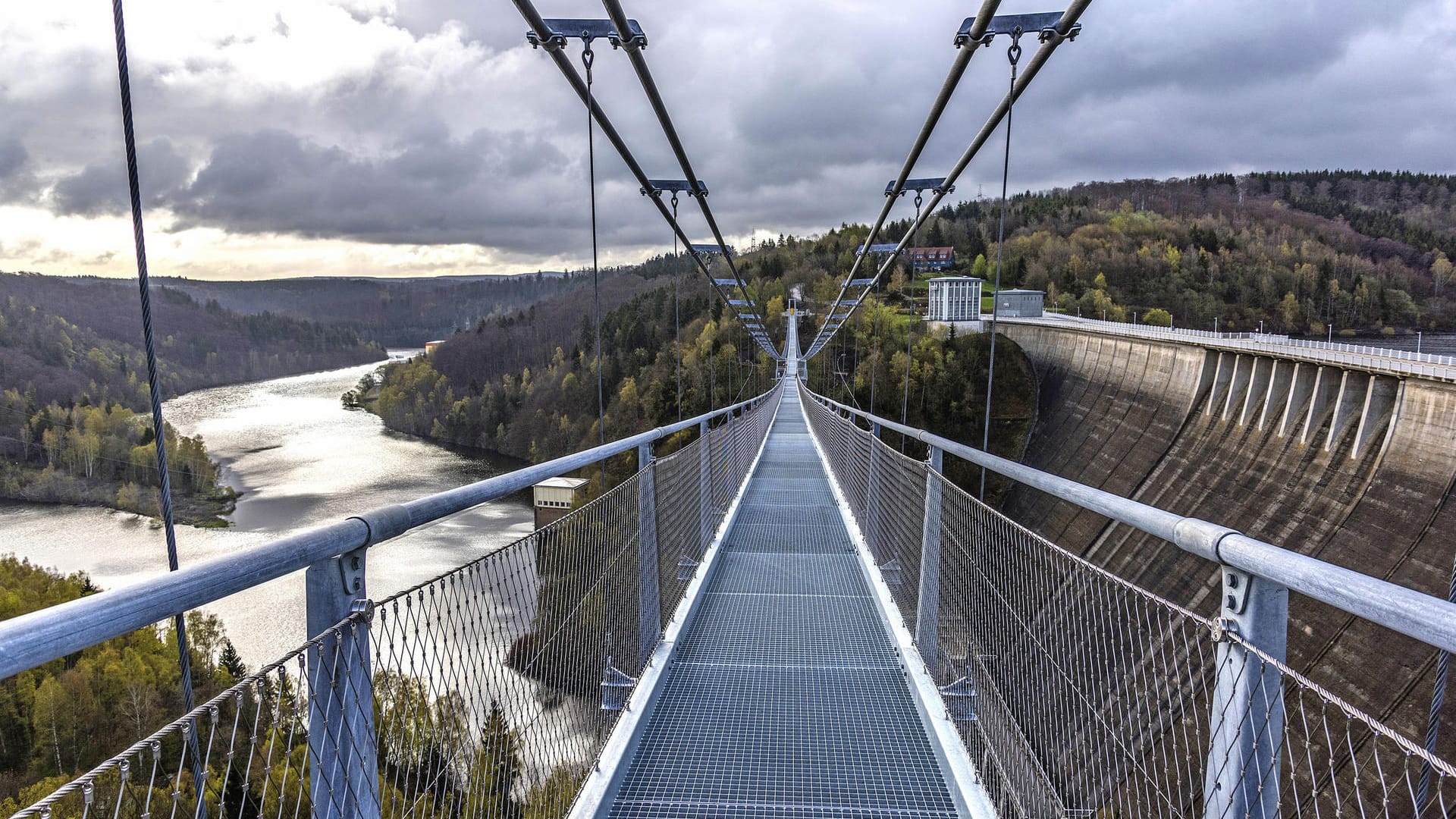 Wer schwindelfrei ist, kann von der Hängebrücke im Harz eine sensationelle Aussicht genießen.