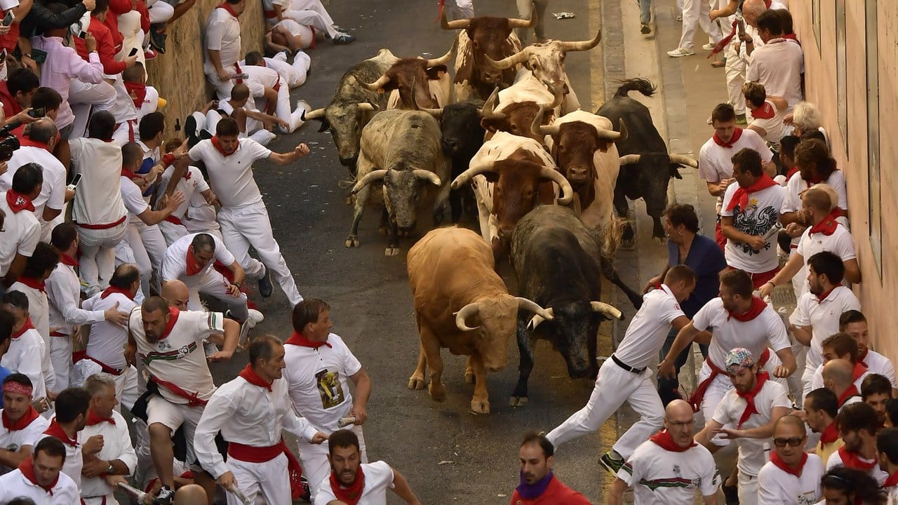 Die traditionelle Stierhatz durch die Straßen von Pamplona.