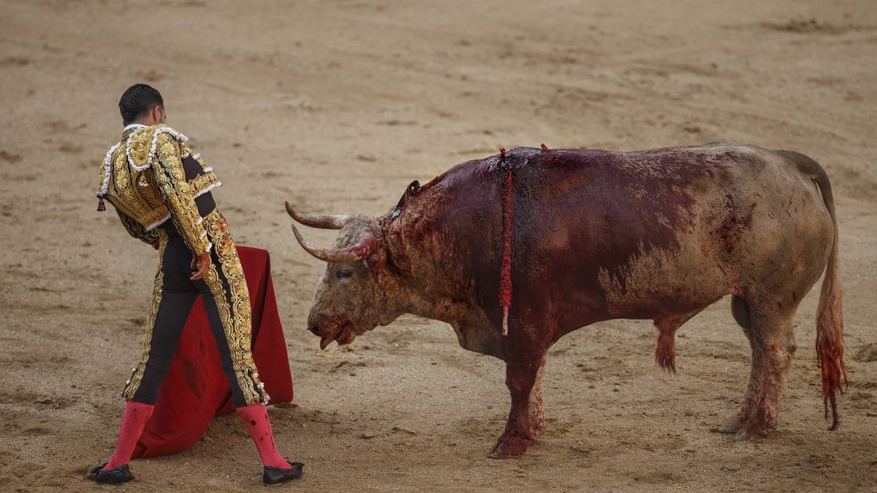 Der spanische Stierkämpfer Alejandro Talavante 2017 in Madrid.