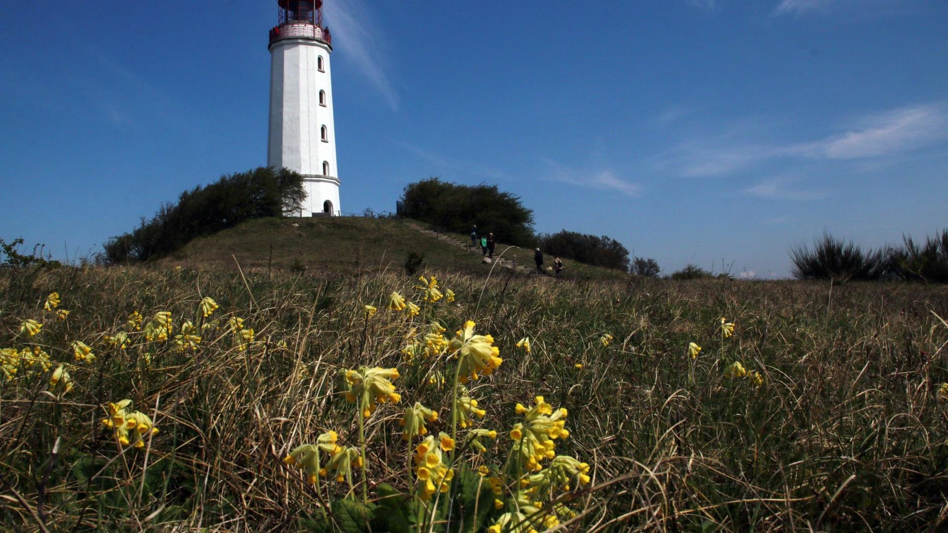 Der Leuchtturm auf dem Dornbusch ist als Wahrzeichen der Insel Hiddensee bekannt. Sein Licht strahlt etwa 45 km hinaus und dient der Küstenschifffahrt als wichtige Orientierung.