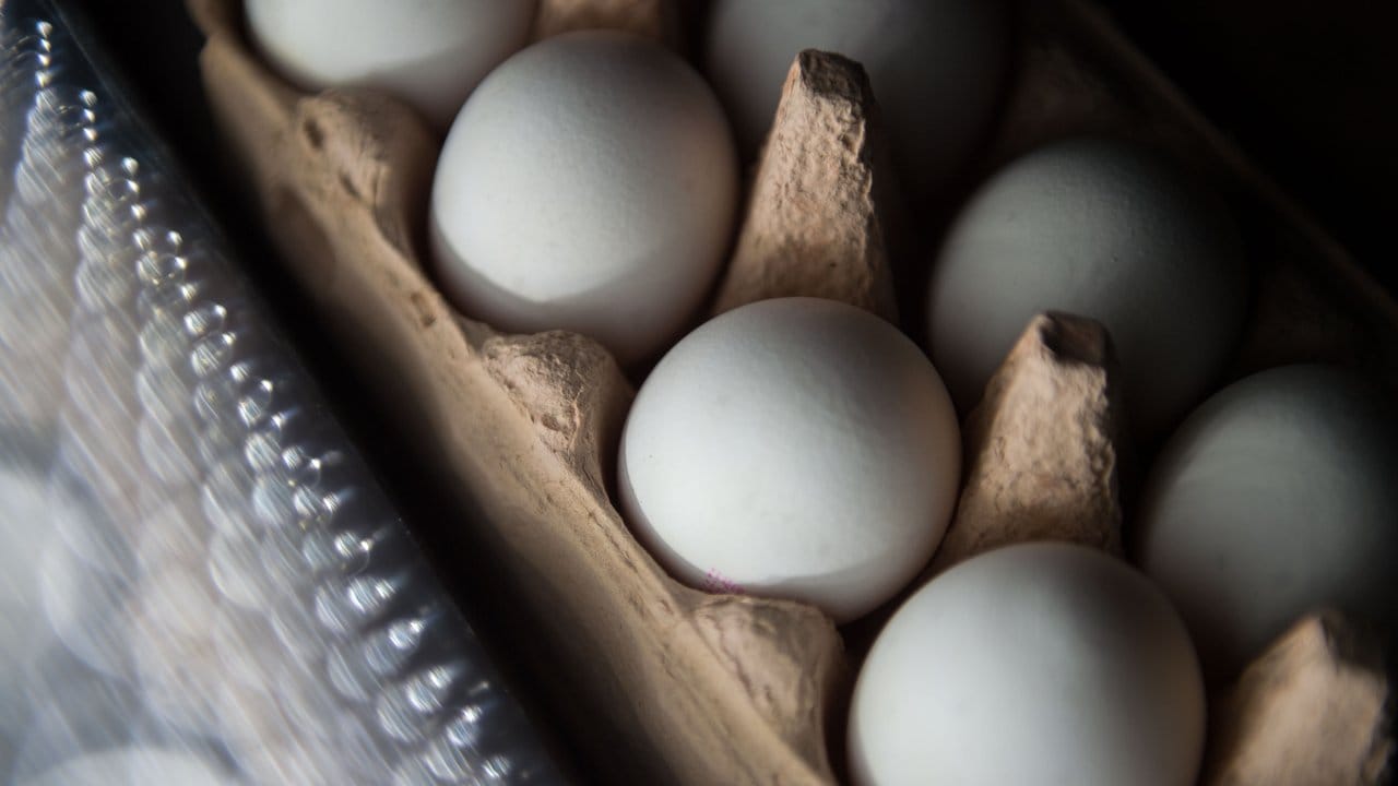 In fast allen deutschen Bundesländern wurde inzwischen Fipronil in Eiern nachgewiesen. In fast allen deutschen Bundesländern wurde inzwischen Fipronil in Eiern nachgewiesen.