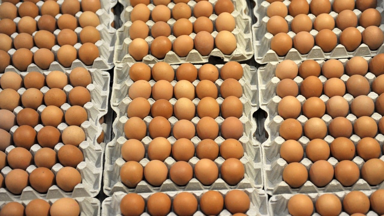In Millionen von Eiern wurde eine zu hohe Dosis von Fipronil festgestellt. In Millionen von Eiern wurde eine zu hohe Dosis von Fipronil festgestellt.