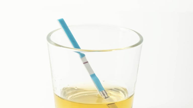 Schwangerschaftstest in einem Glas Urin