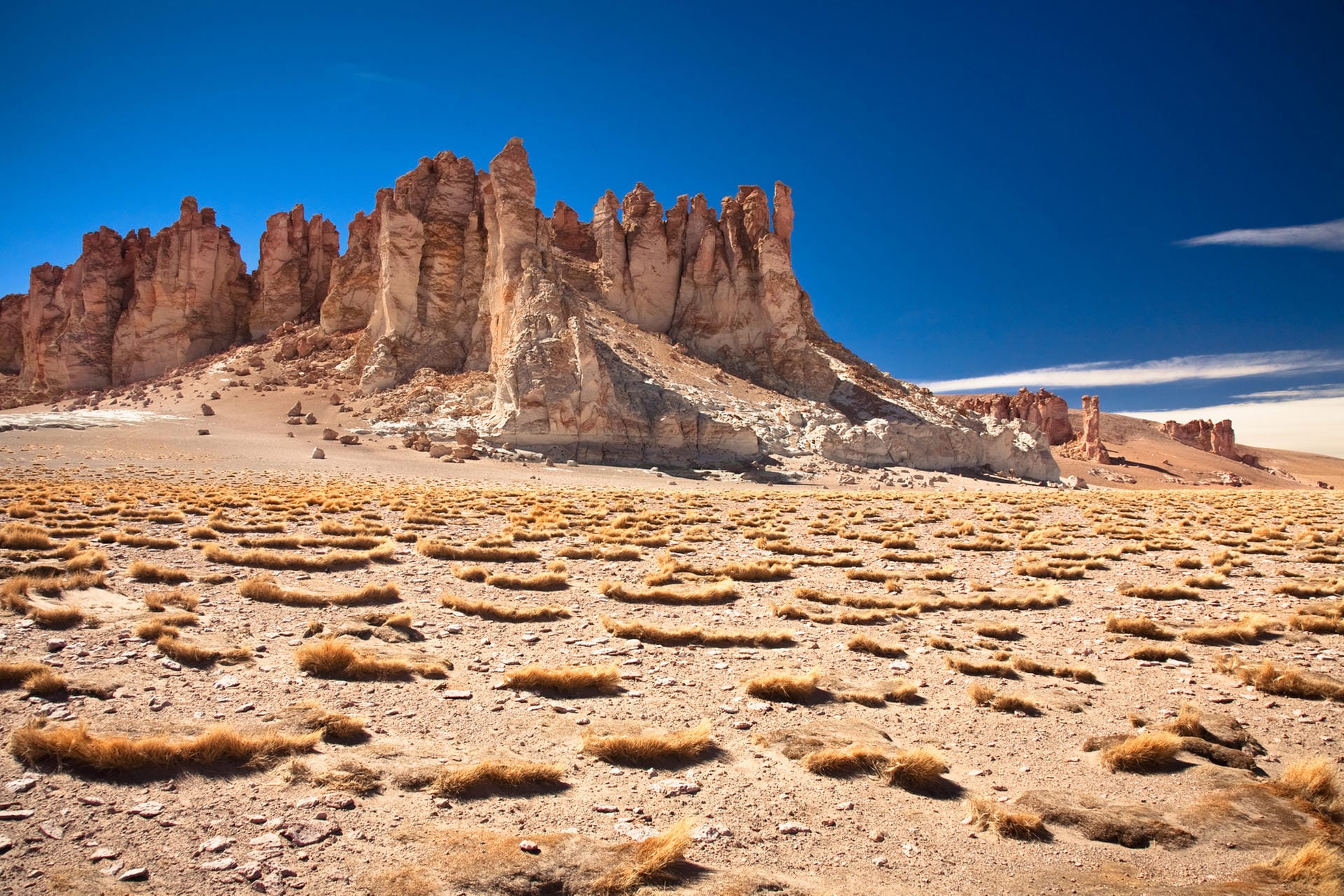 Die Salar de Tara ist eine Salzpfanne im Nationalpark "Los Flamencos National Reserve" in Chile. Der hohe Salzgehalt des Bodens macht es Pflanzen besonders schwer.