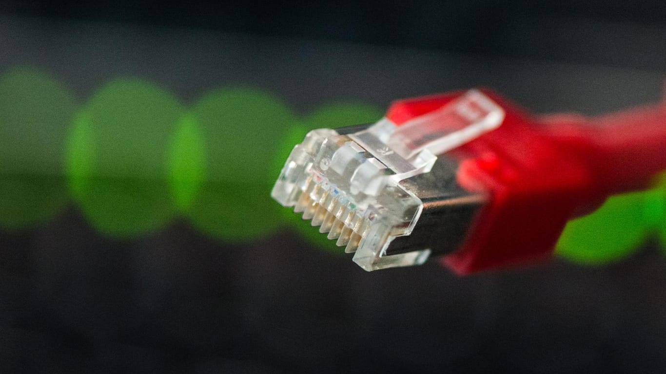 Ethernet-, LAN- oder Netzwerkkabel können synonym genutzt werden.
