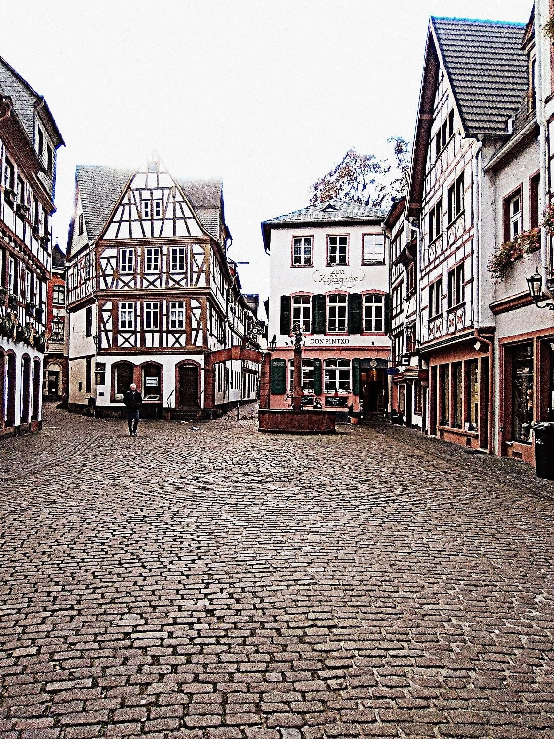 Mainz ist nicht nur wegen des Faschings ein Besuch wert, sondern auch wegen seiner gut erhaltenen Fachwerkhäuser.