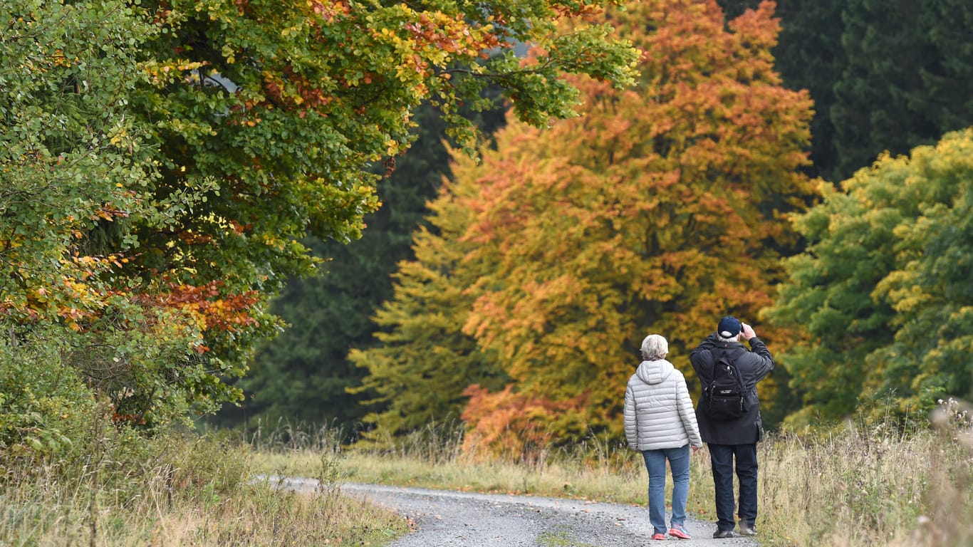 Zwei Wanderer gehen vor bei an herbstlich gefärbten Laubbäumen in einem Wald nahe Willingen (Hessen) und machen dabei Fotos.