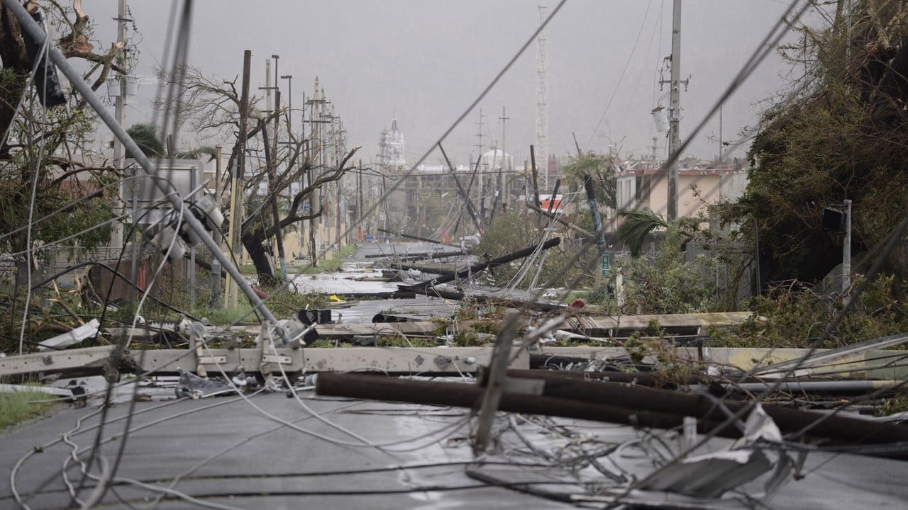 Zerstörte Stromleitungen in Puerto Rico nach dem Durchzug von Hurrikan "Maria". Zerstörte Stromleitungen in Puerto Rico nach dem Durchzug von Hurrikan "Maria".