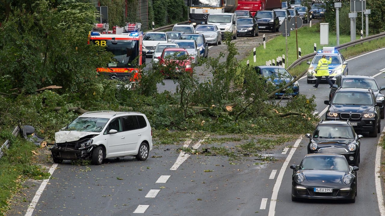 Unfall auf dem Messeschnellweg bei Hannover: Ein Baum war auf die Fahrbahn gekippt.